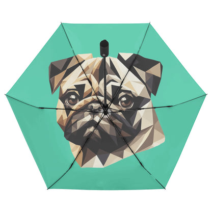 Jax - Umbrella
