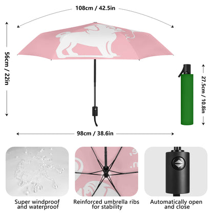 Nala - Umbrella