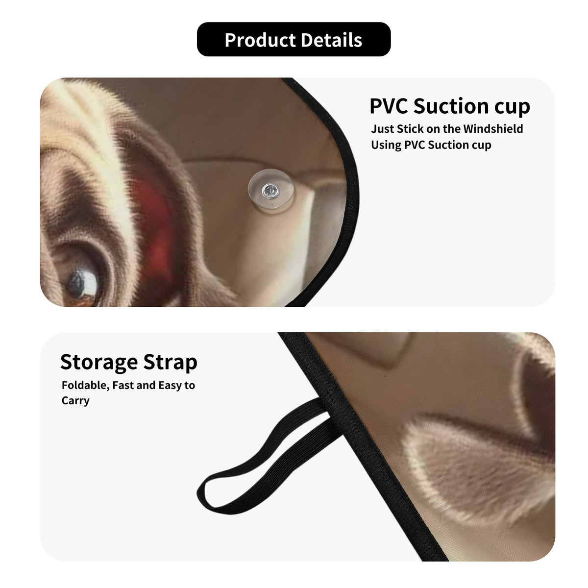 Acorn - Car Auto Sun Shade