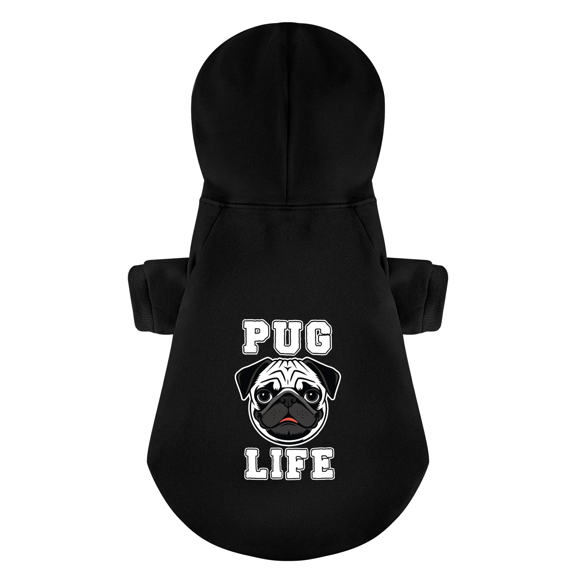 filename-1767347928-10-ctKnP0ojIx