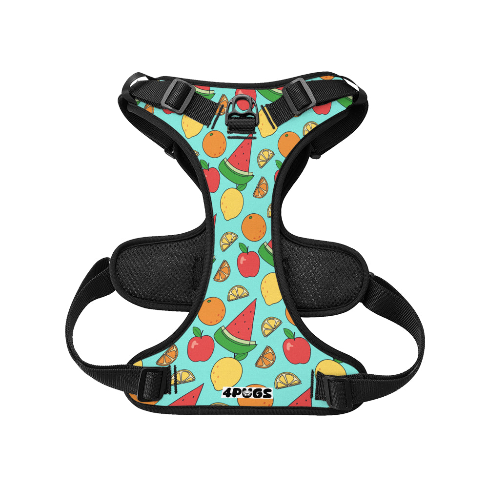 Toby - Pug Dog Harness