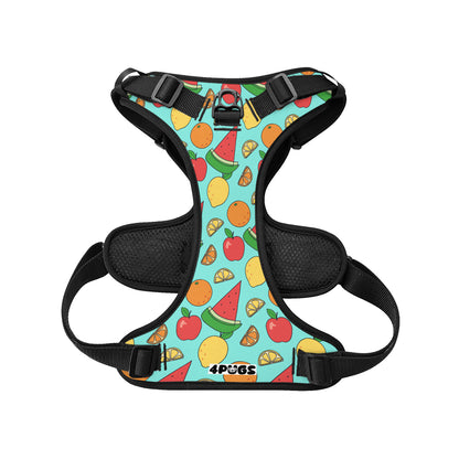 Toby - Pug Dog Harness