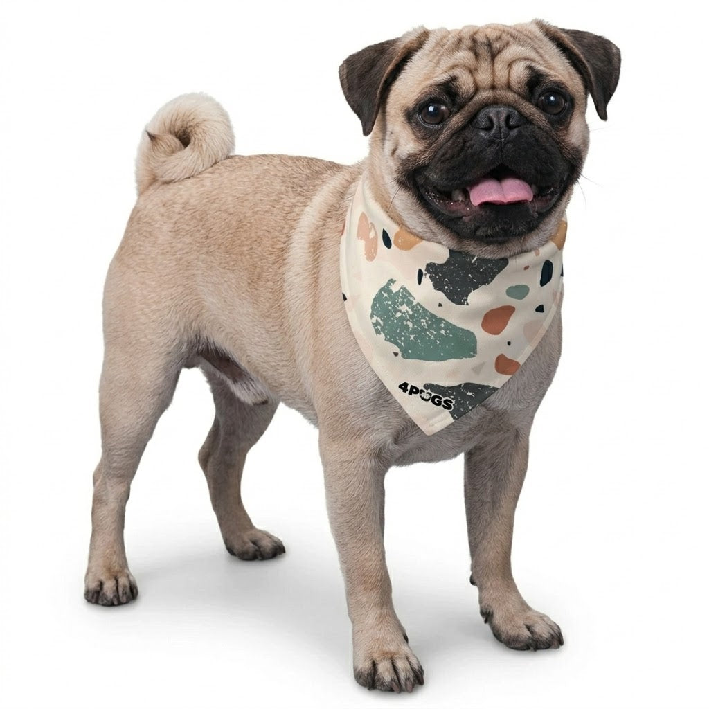 Ace - Pug Bandana