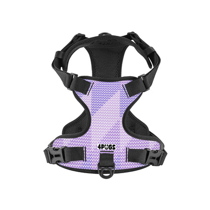 Zoey - Pug Dog Harness