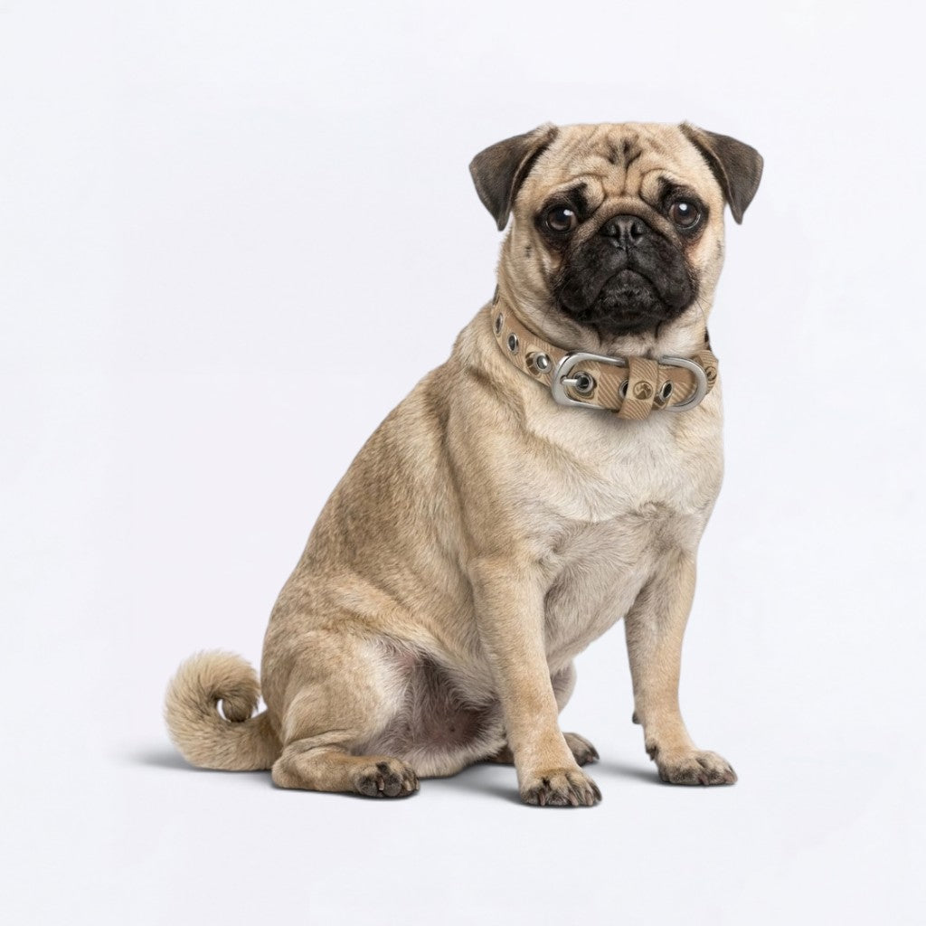 Luna  - Adjustable Pug Collar
