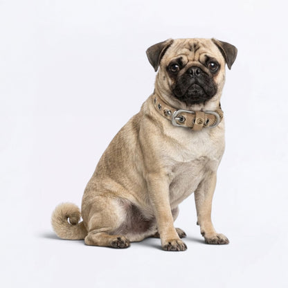 Luna  - Adjustable Pug Collar
