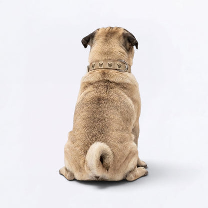 Luna  - Adjustable Pug Collar