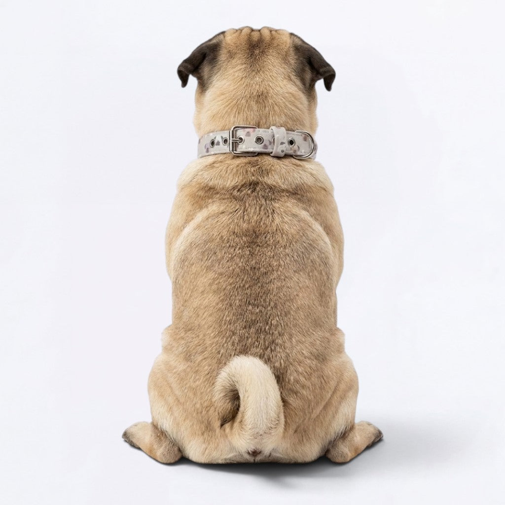 Toby - Adjustable Pug Collar