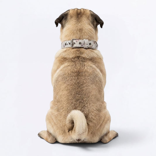 Toby - Adjustable Pug Collar