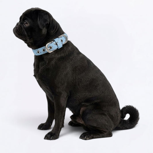 Jack - Adjustable Pug Collar