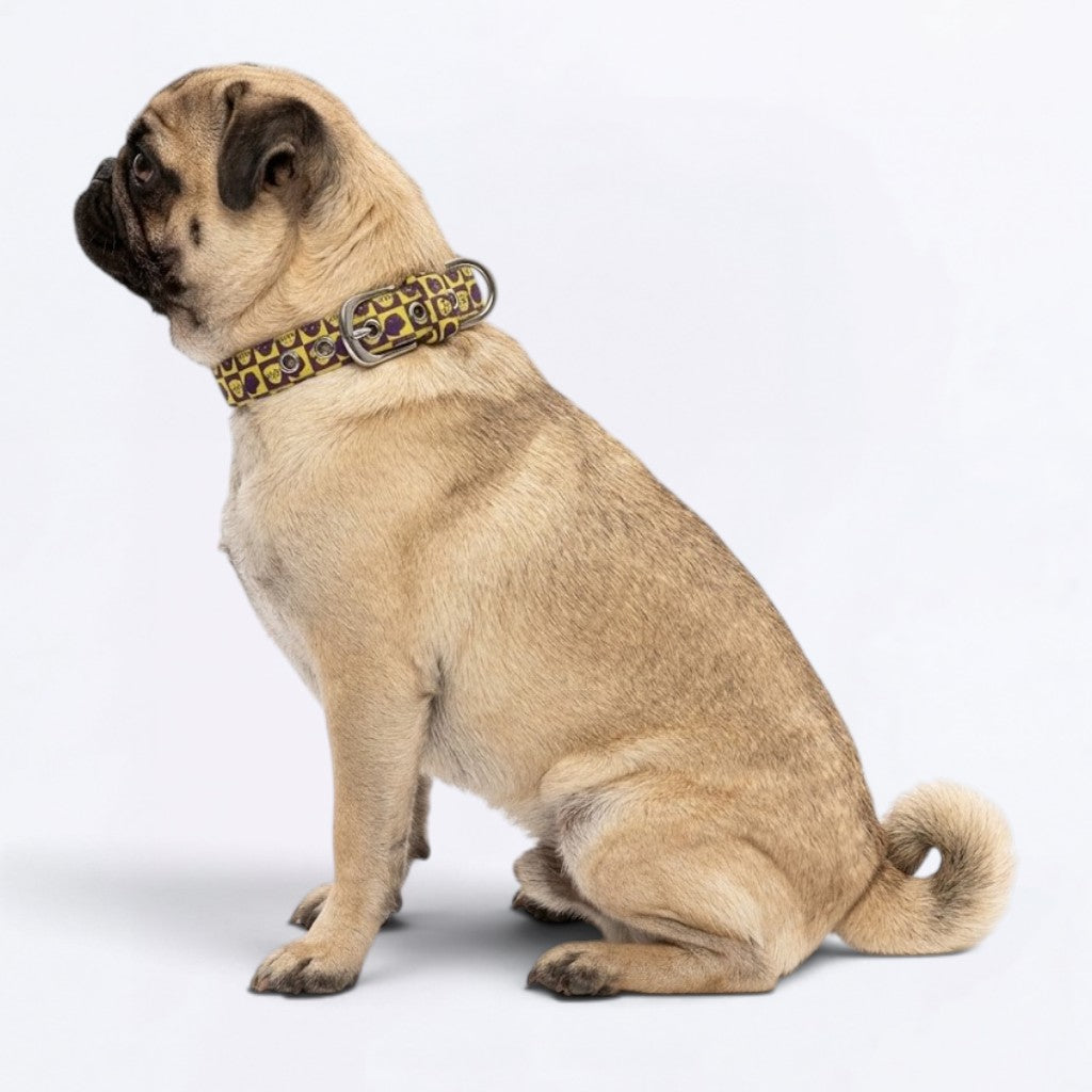 Scout - Adjustable Pug Collar