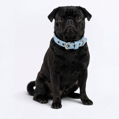 Jack - Adjustable Pug Collar