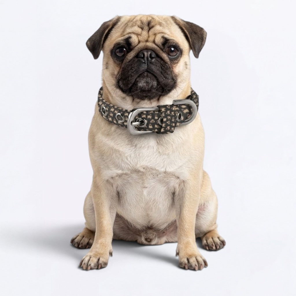 Pearl - Adjustable Pug Collar
