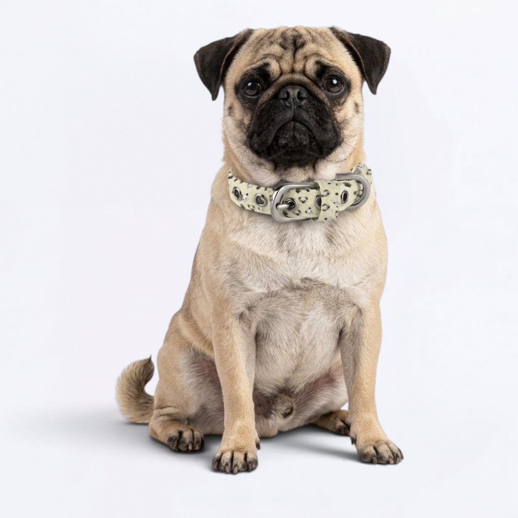 Coco - Adjustable Pug Collar