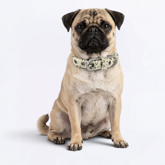 Coco - Adjustable Pug Collar