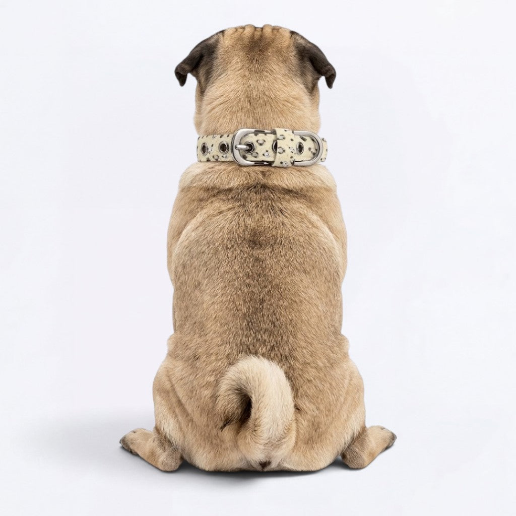 Coco - Adjustable Pug Collar