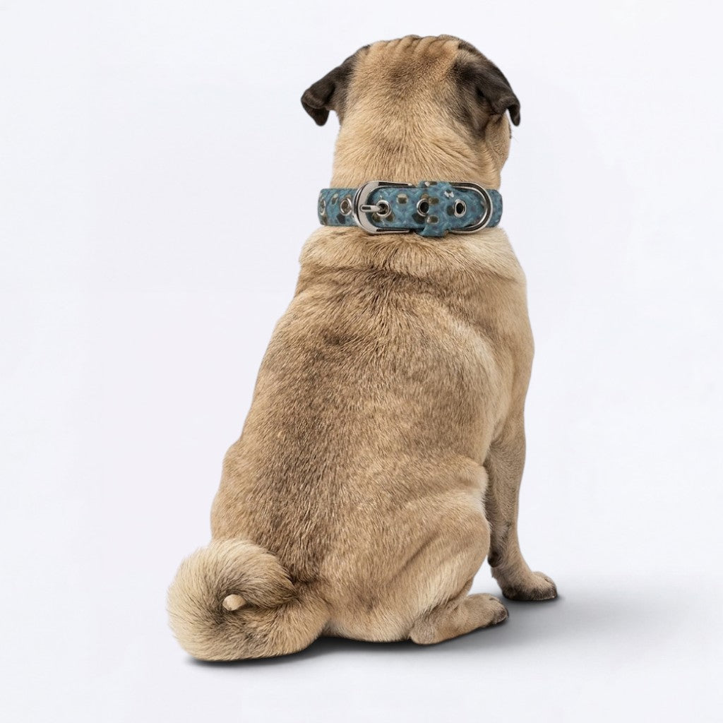 BLUE - Adjustable Pug Collar
