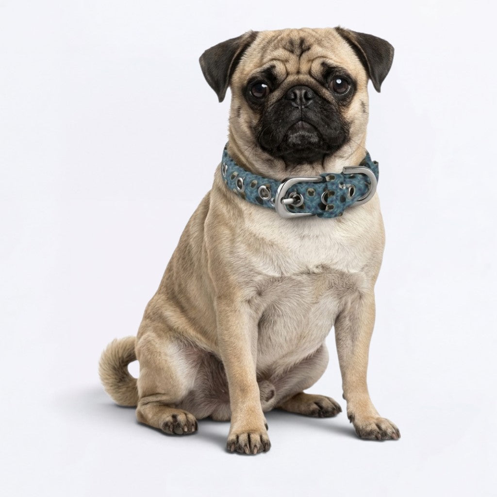 BLUE - Adjustable Pug Collar