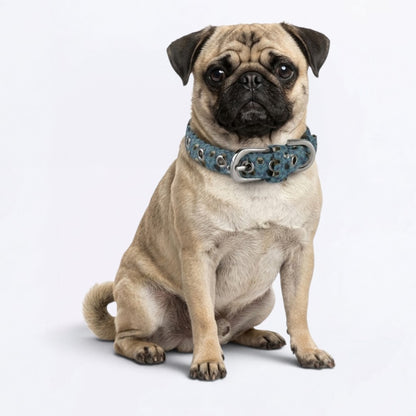 BLUE - Adjustable Pug Collar