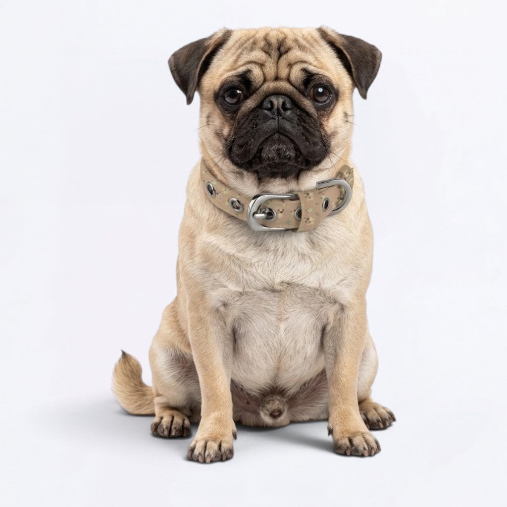 Rocky - Adjustable Pug Collar
