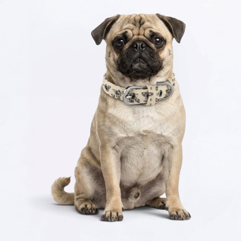Ace  - Adjustable Pug Collar