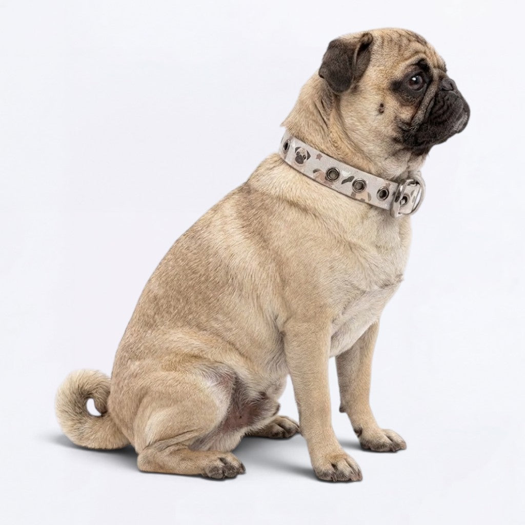 Toby - Adjustable Pug Collar