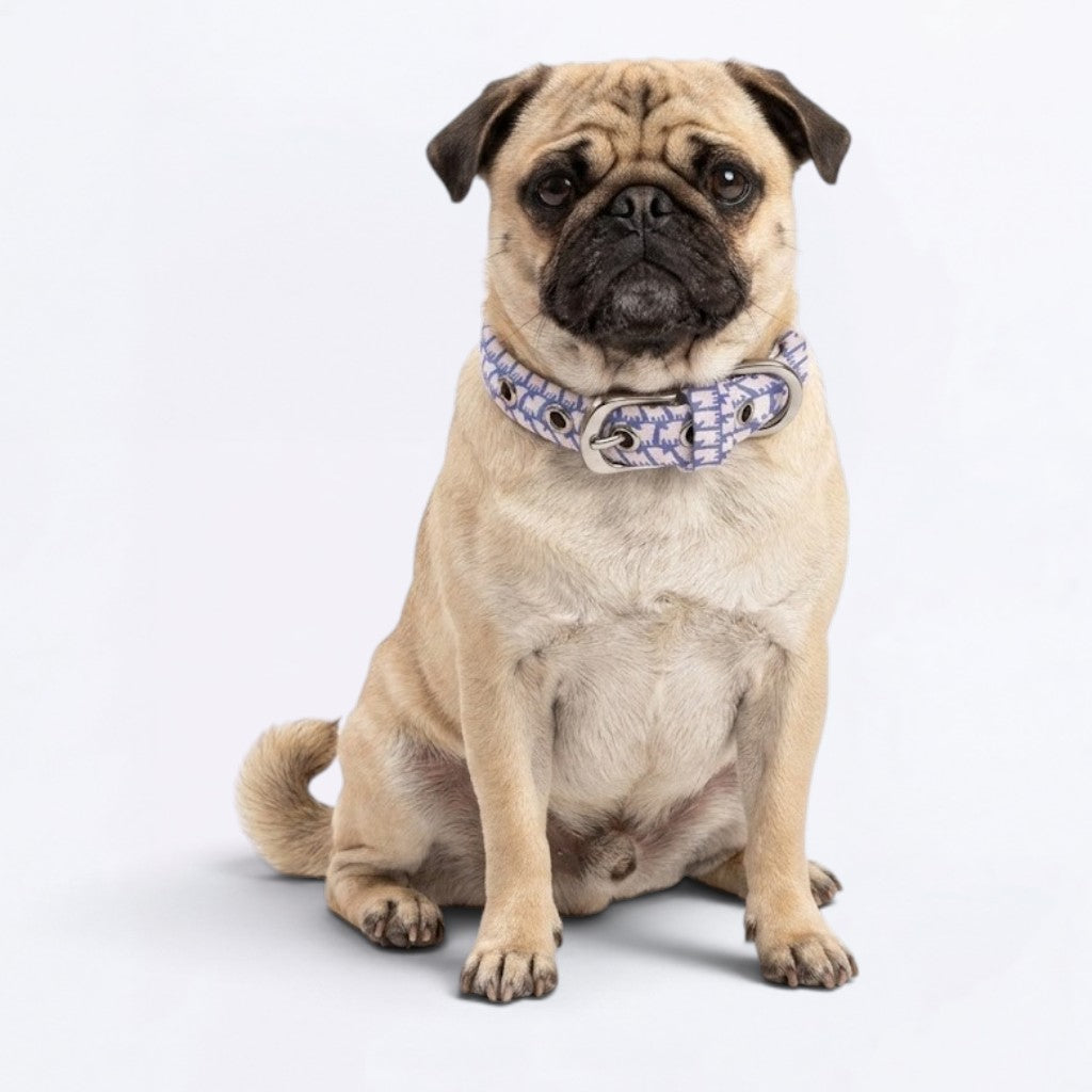 Maple  - Adjustable Pug Collar