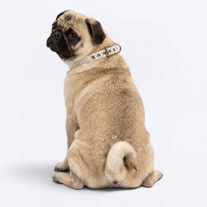 Nala - Adjustable Pug Collar