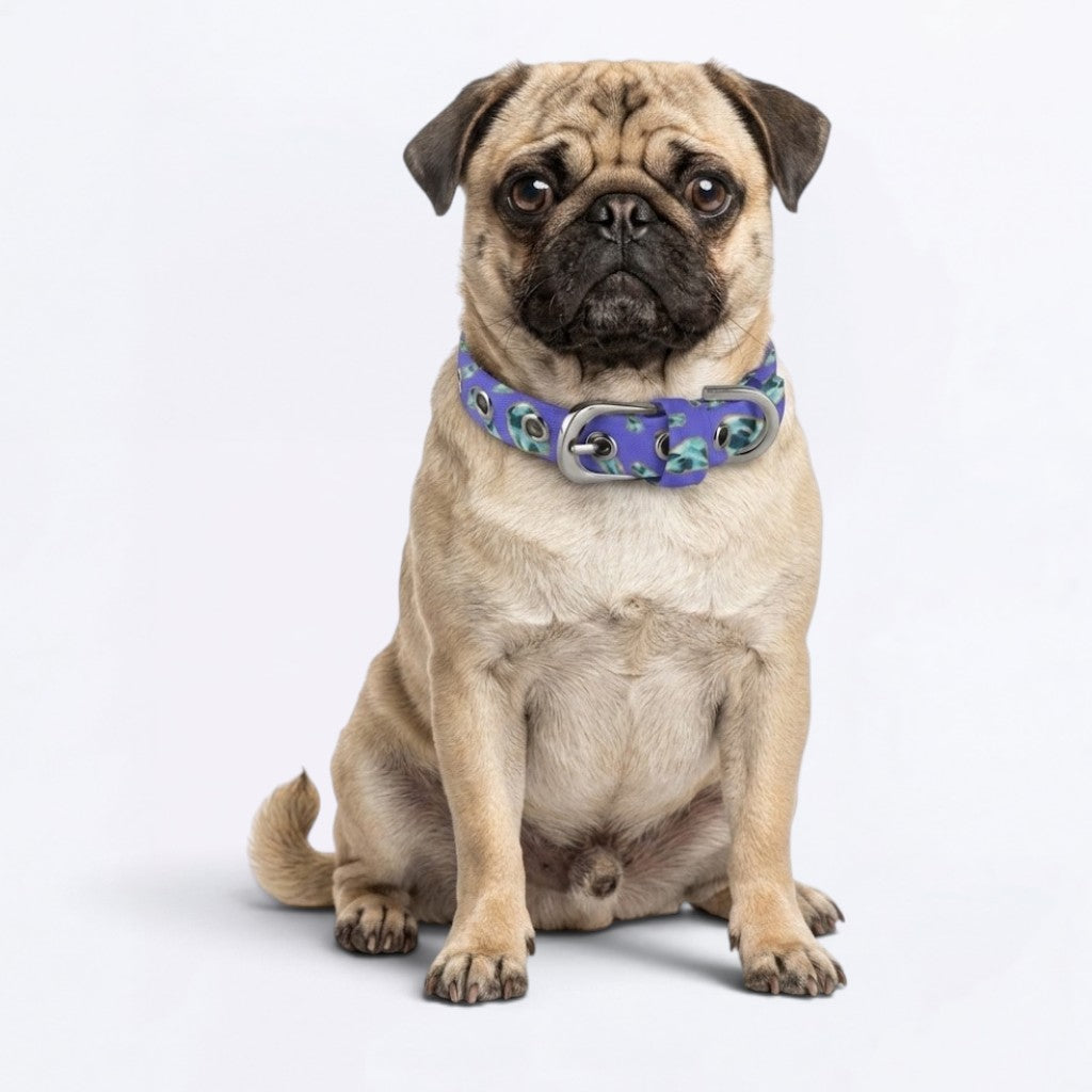 Ceasar - Adjustable Pug Collar