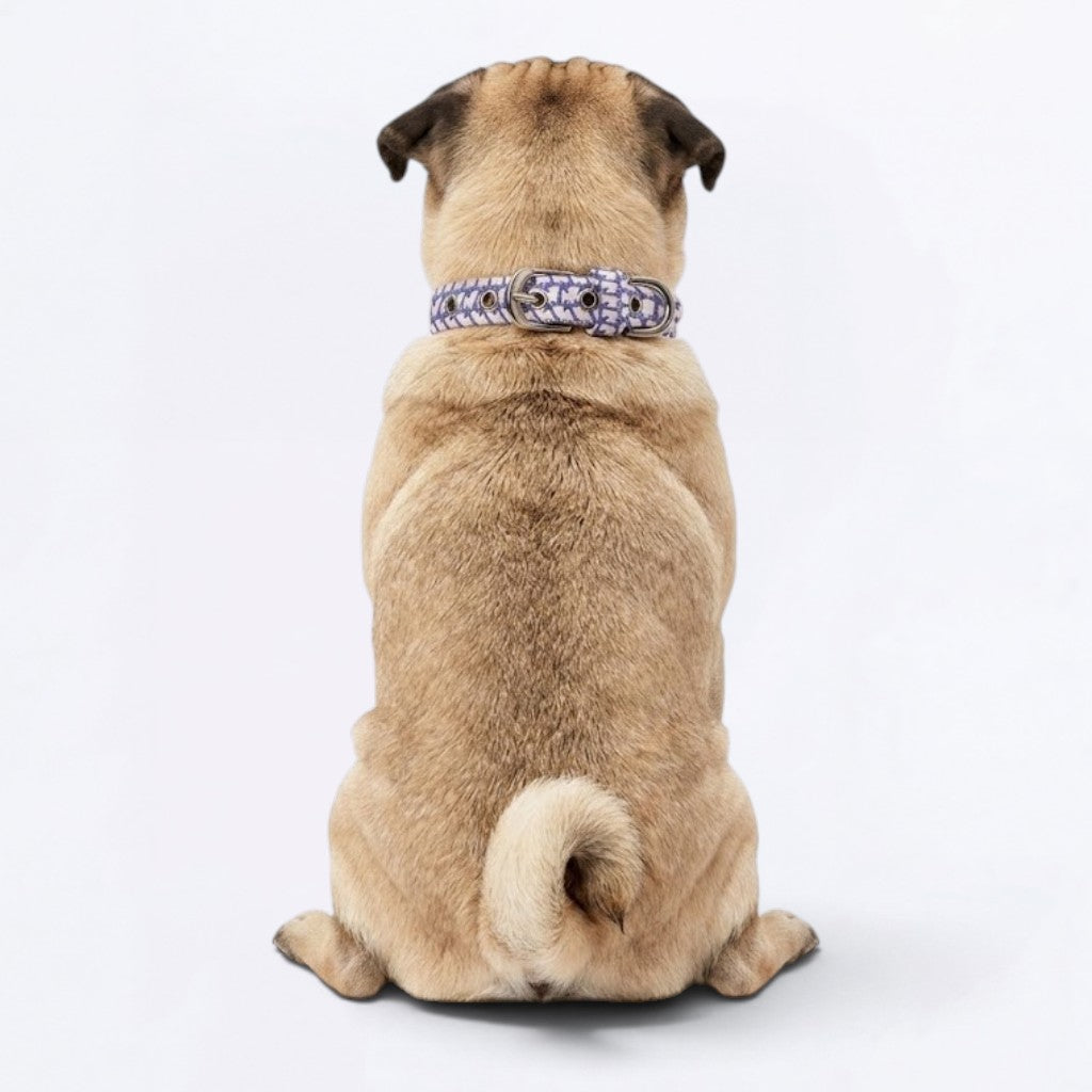Maple  - Adjustable Pug Collar