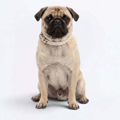 Nala - Adjustable Pug Collar
