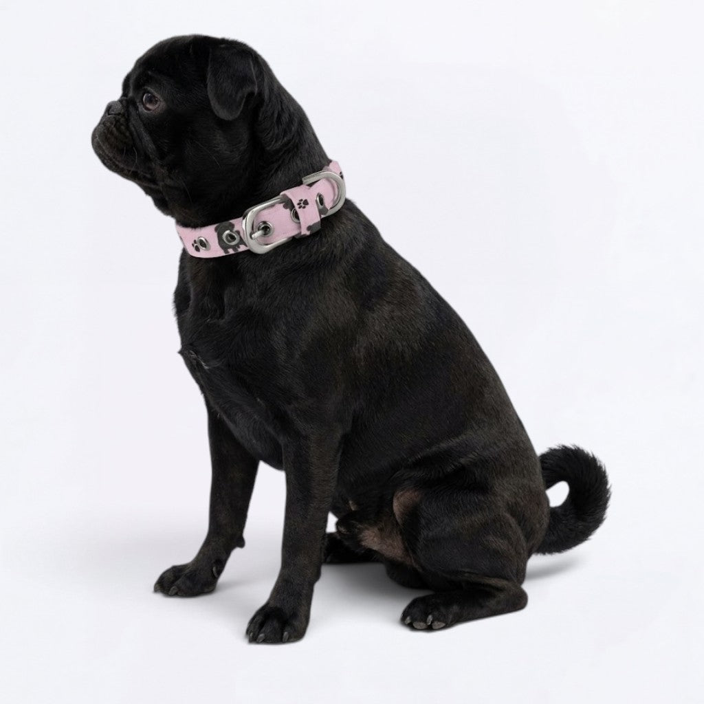 Simba - Adjustable Pug Collar
