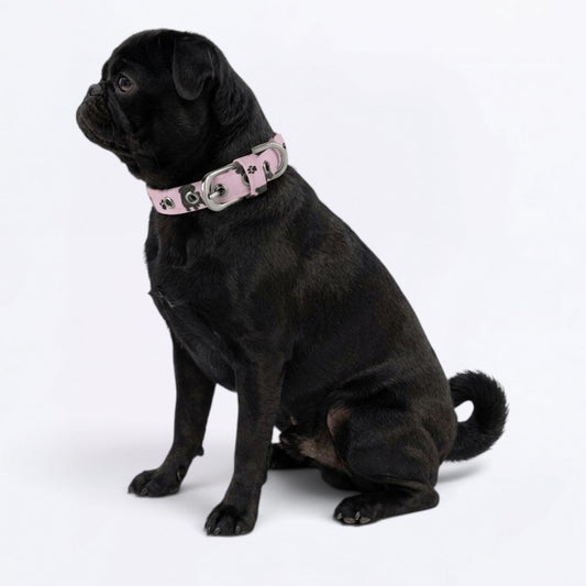 Simba - Adjustable Pug Collar