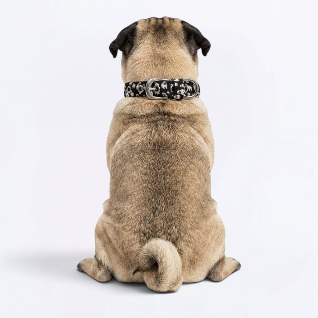 Bruno - Adjustable Pug Collar