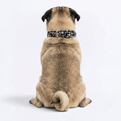 Bruno - Adjustable Pug Collar