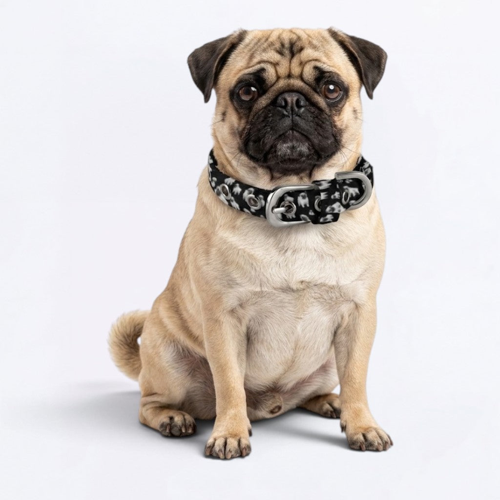 Bruno - Adjustable Pug Collar