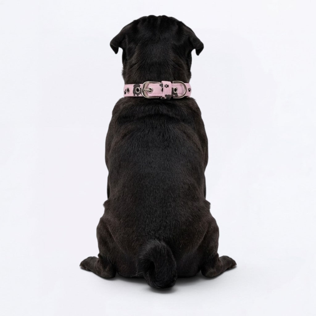 Simba - Adjustable Pug Collar