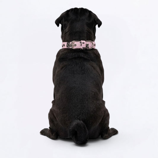 Simba - Adjustable Pug Collar