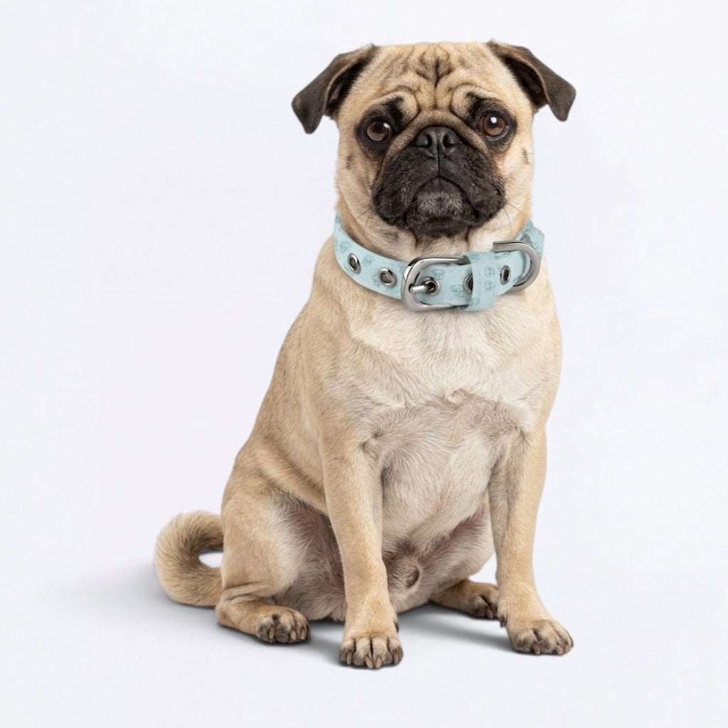 Pepper - Adjustable Pug Collar