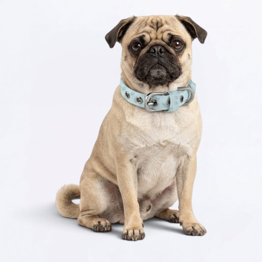 Pepper - Adjustable Pug Collar