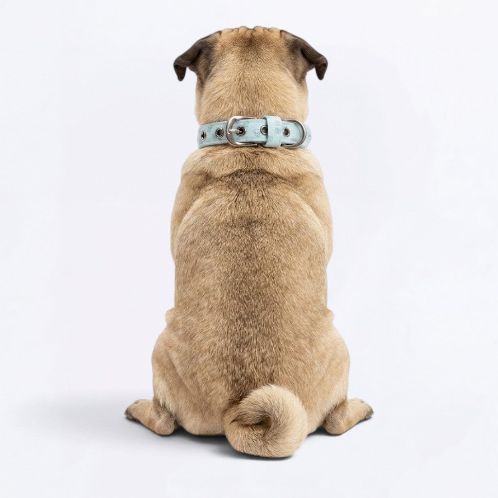 Pepper - Adjustable Pug Collar