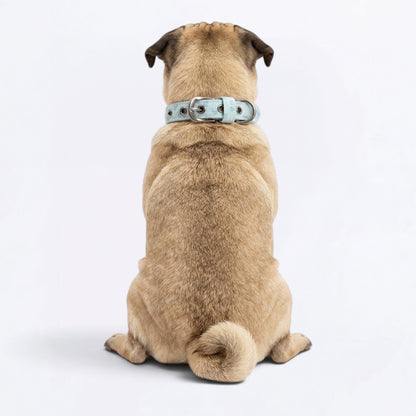 Pepper - Adjustable Pug Collar