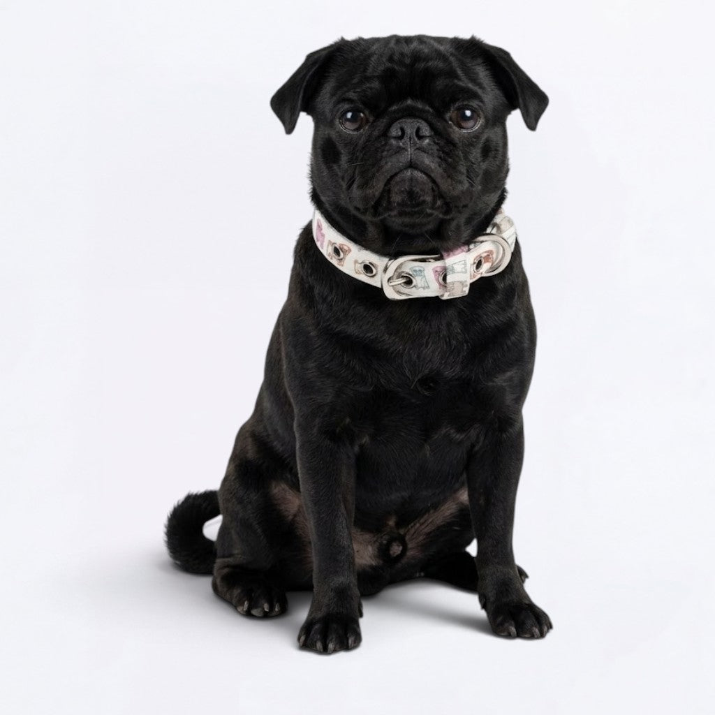Titly - Adjustable Pug Collar