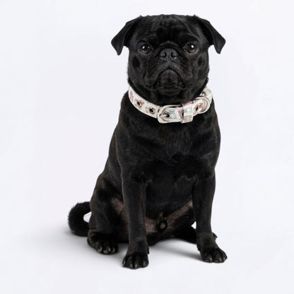 Titly - Adjustable Pug Collar