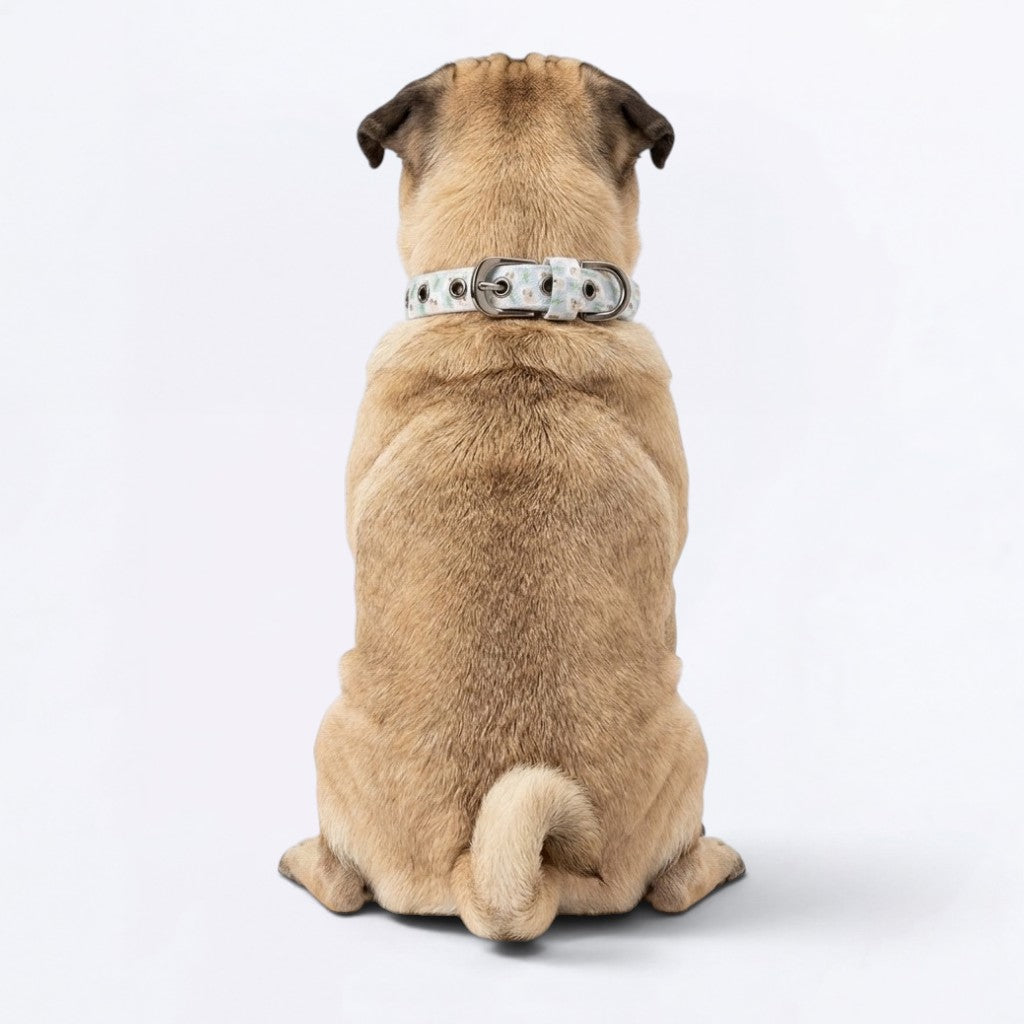 Mochi - Adjustable Pug Collar