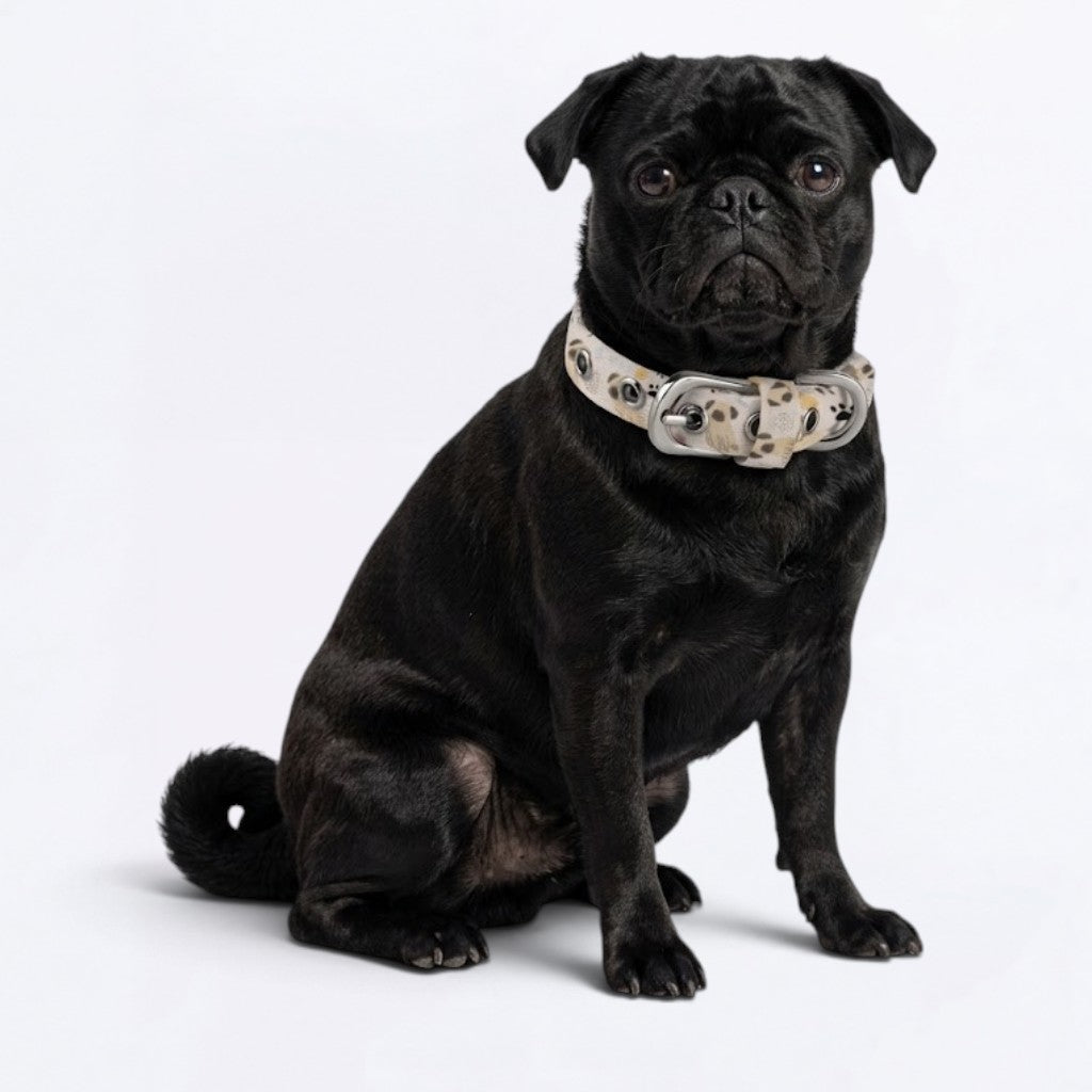 Ace - Adjustable Pug Collar