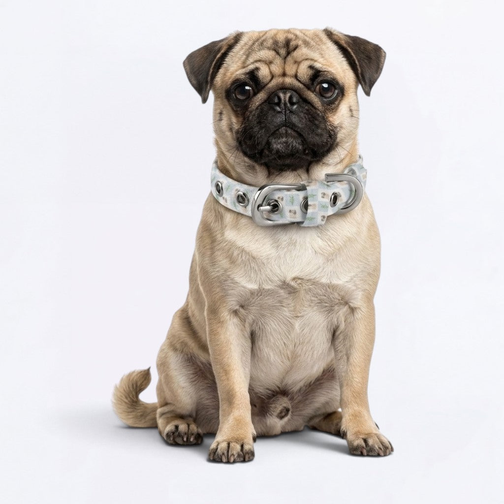 Mochi - Adjustable Pug Collar