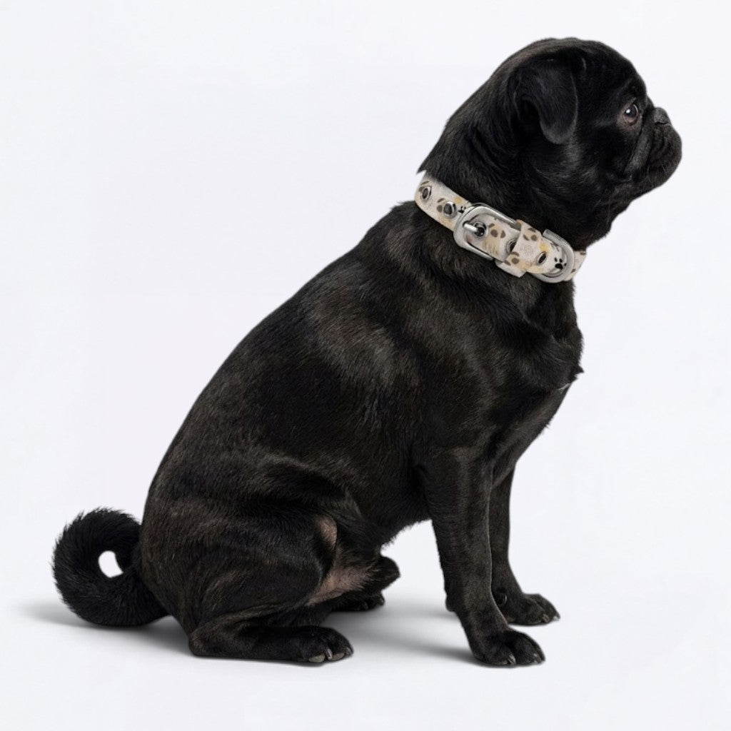 Ace - Adjustable Pug Collar