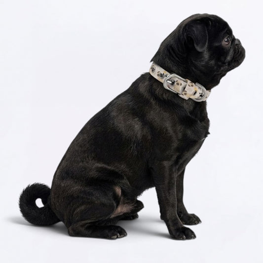 Ace - Adjustable Pug Collar