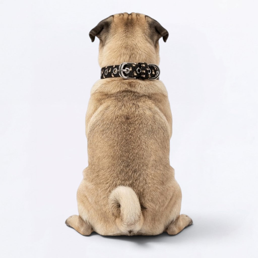 Zena - Adjustable Pug Collar